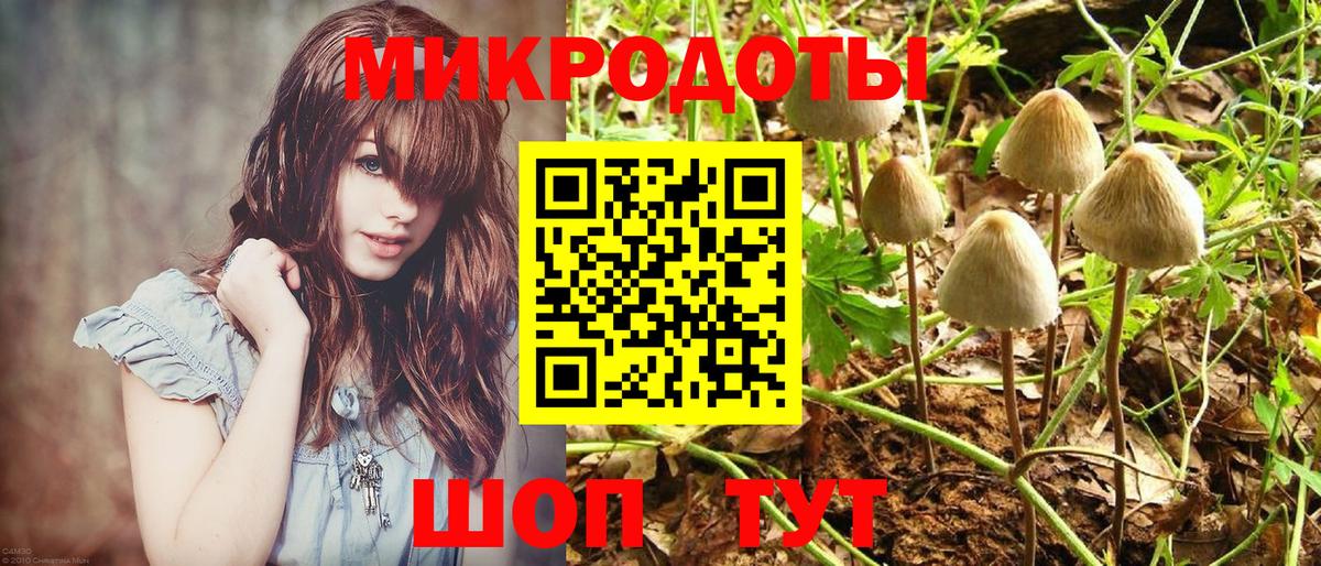 Галлюциногенные грибы MAGIC MUSHROOMS  Псилоцибиновые грибы GOLDEN TEACHER  где найти   Вход с VPN  Кропоткин 